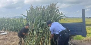 秋风送暖 民警助农解忧