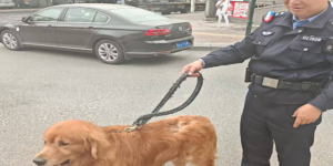 大成派出所民警巡逻中帮助群众找回走失爱犬 践行“为民服务”初心